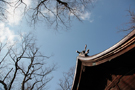 安積国造神社